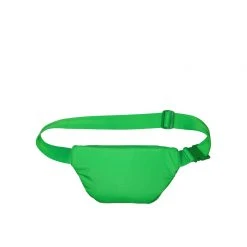 LeSportsac New Arrivals Everyday Belt Bag