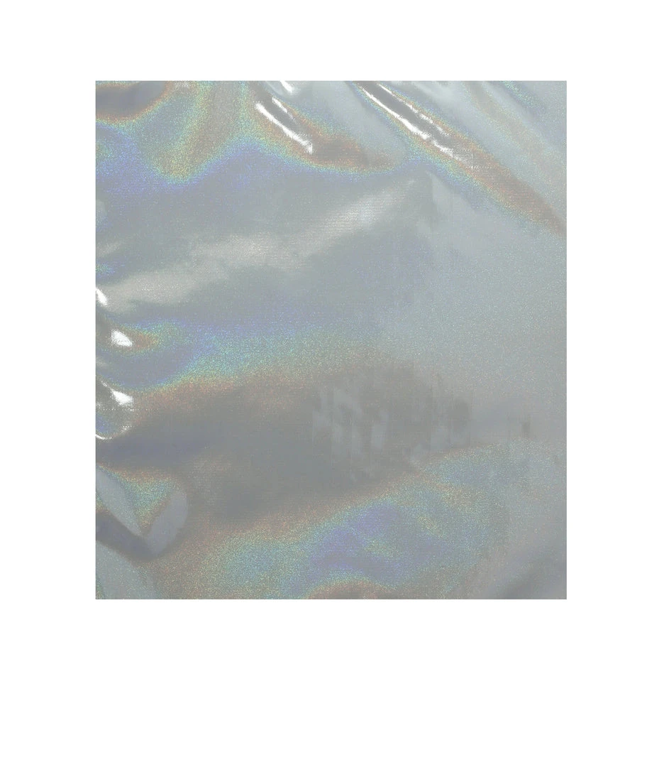 LeSportsac Deluxe Easy Carry Tote 7 LeSportsac Deluxe Easy Carry Tote